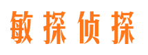 清苑私家调查公司